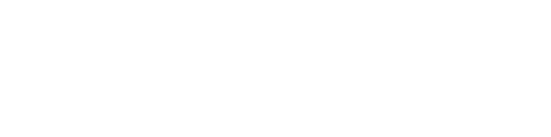 Volz Logo
